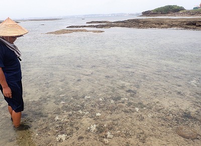 f0338188_23543471.jpg