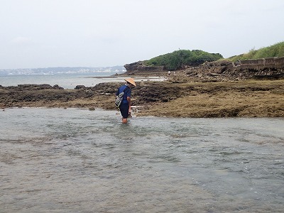 f0338188_23543889.jpg