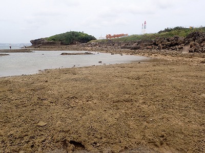 f0338188_23571480.jpg