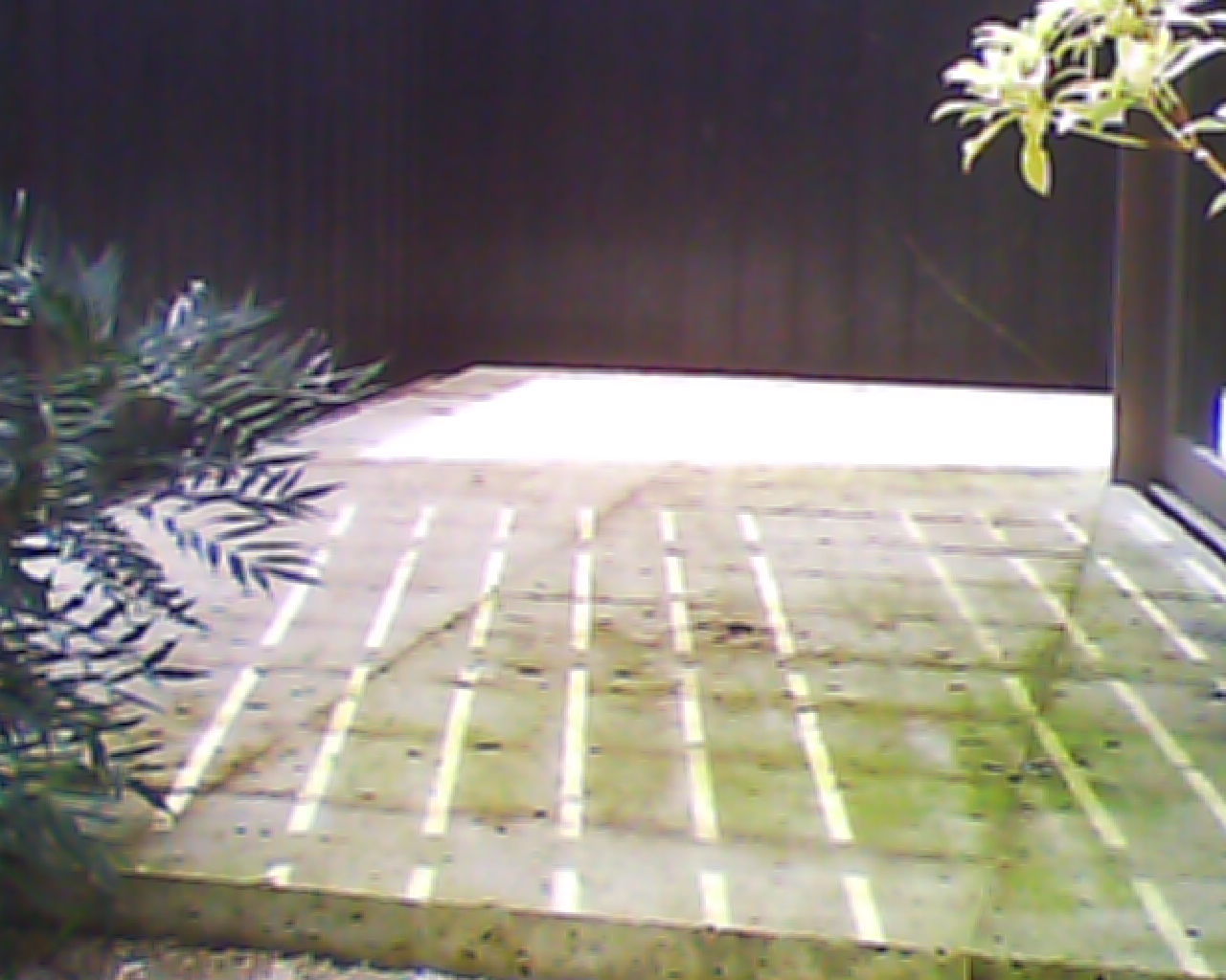 d0256297_17324205.jpg