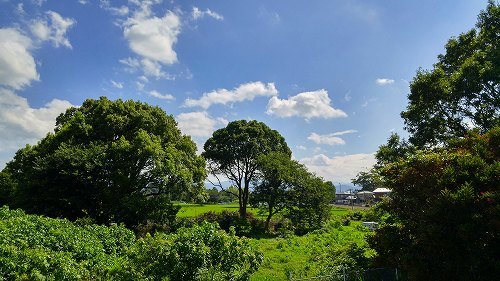 e0221697_11091378.jpg