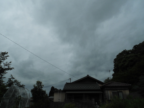 c0108198_1643392.jpg