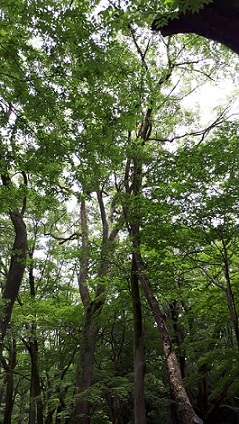 b0366199_21290348.jpg