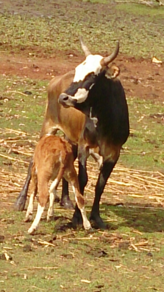 f0225800_09323738.jpg