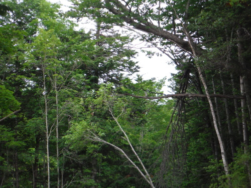 b0172805_23165539.jpg