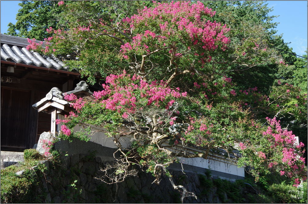 d0342307_19264791.jpg