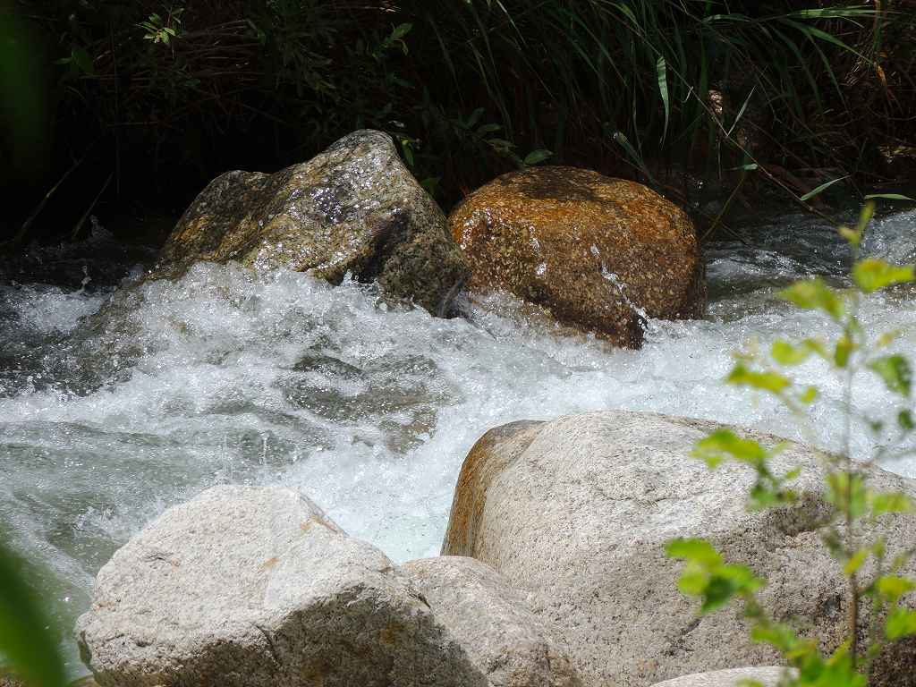 e0372207_20342080.jpg