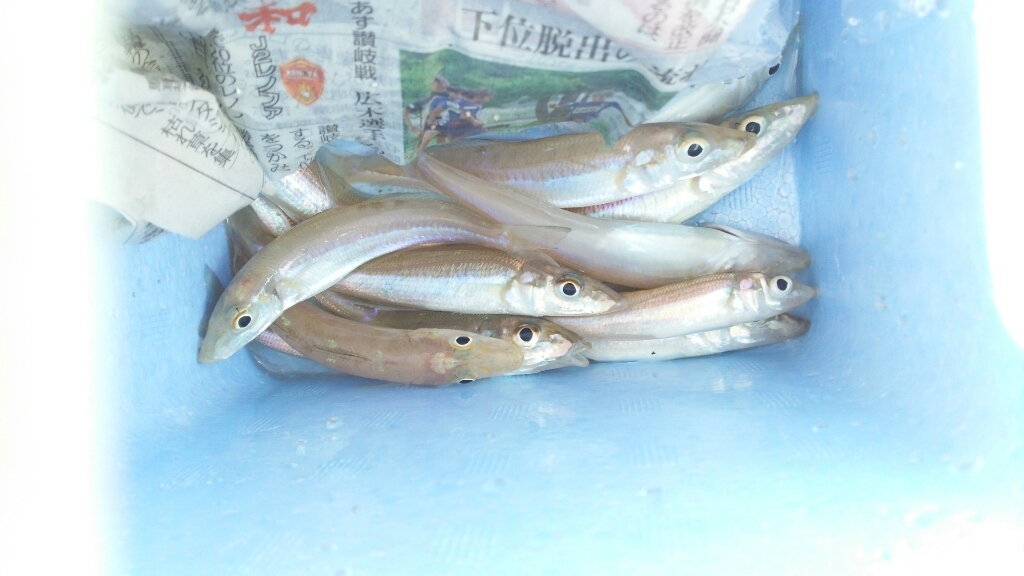 c0016208_11563072.jpg