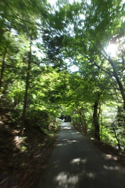 f0368610_11521014.jpg
