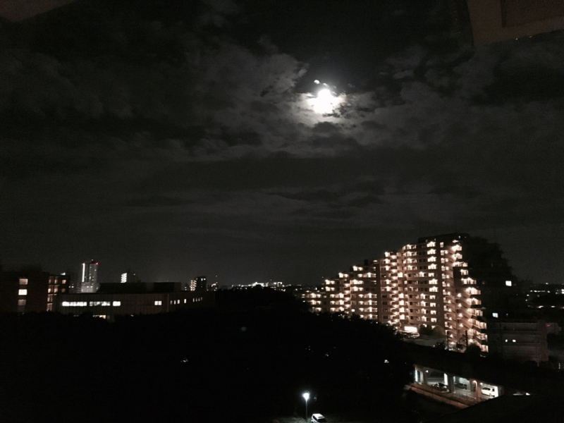 a0353211_20564276.jpg