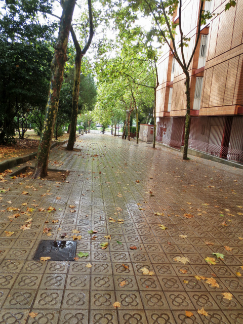 b0064411_05545524.jpg
