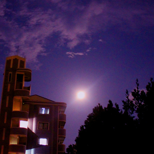 a0329820_00094855.jpg