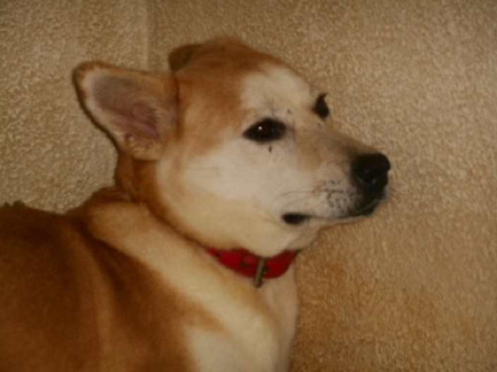 f0078320_1735039.jpg