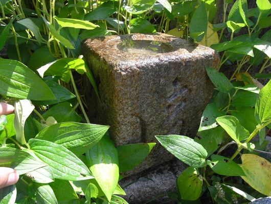 f0183722_1471667.jpg