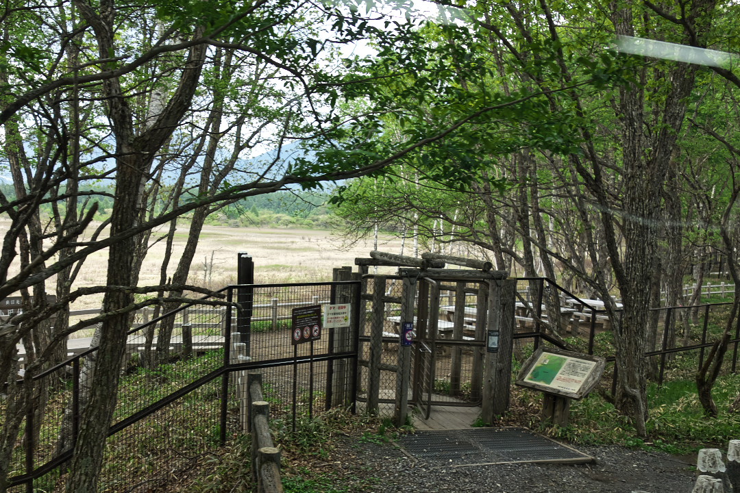 d0137627_014817.jpg