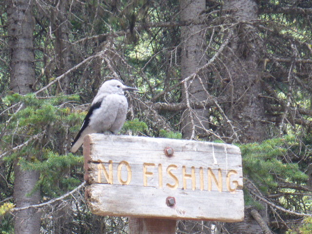 c0077835_08244087.jpg