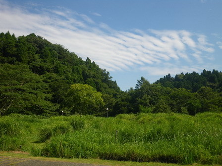a0123836_16162496.jpg