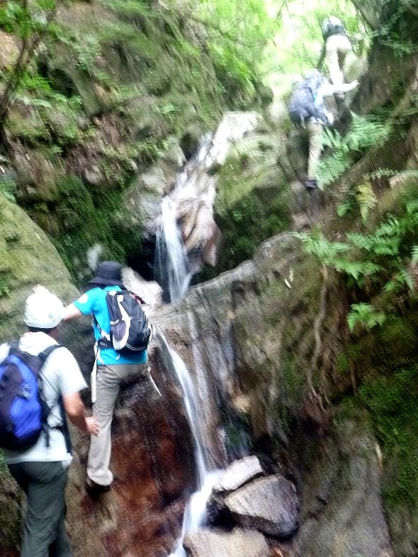 e0371039_198043.jpg