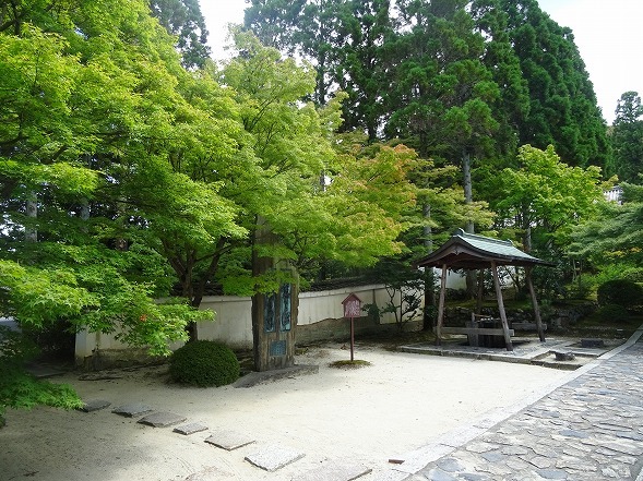 b0299042_14460024.jpg