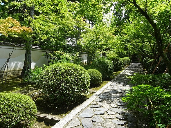 b0299042_14461361.jpg