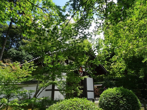 b0299042_14462414.jpg