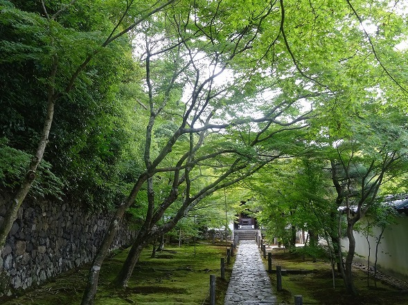 b0299042_14463573.jpg