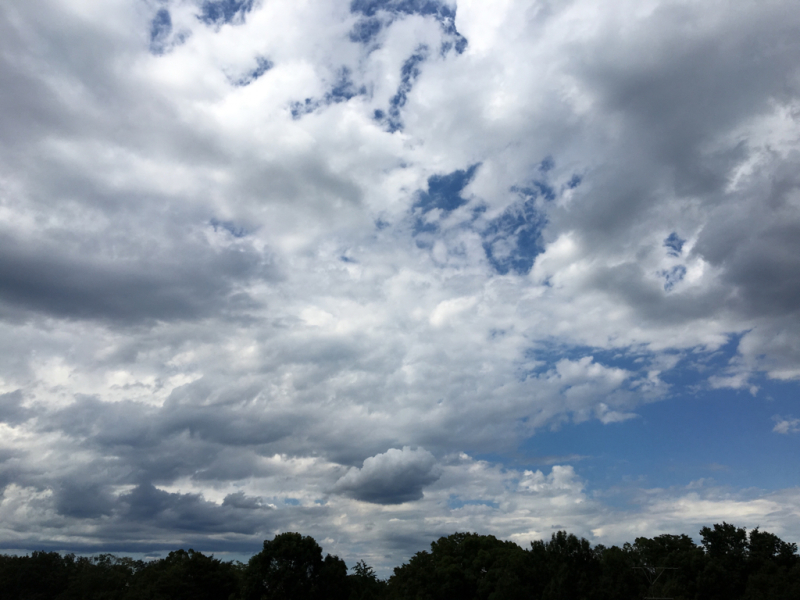 e0206242_15313848.jpg