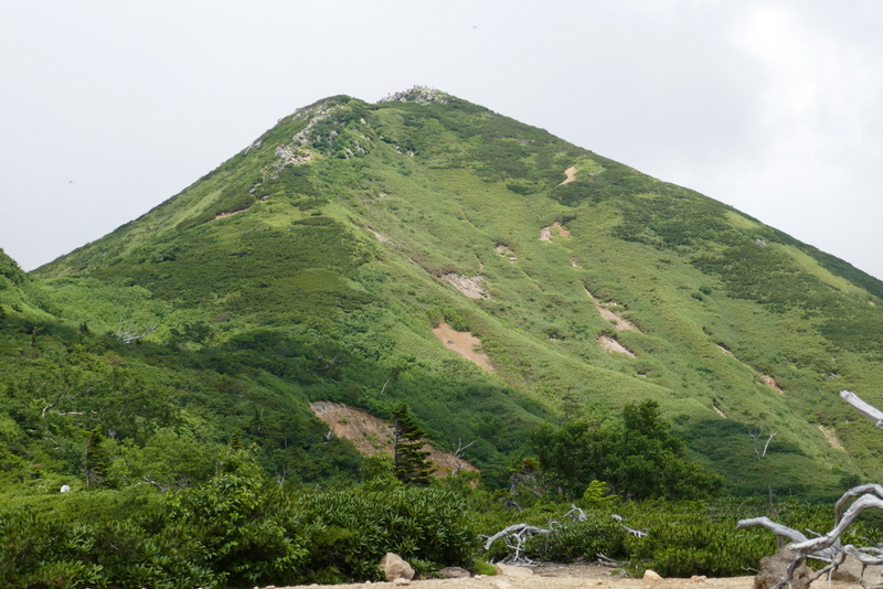 a0091843_14282308.jpg
