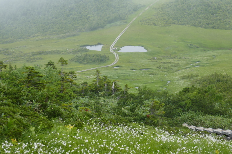 a0091843_14363528.jpg