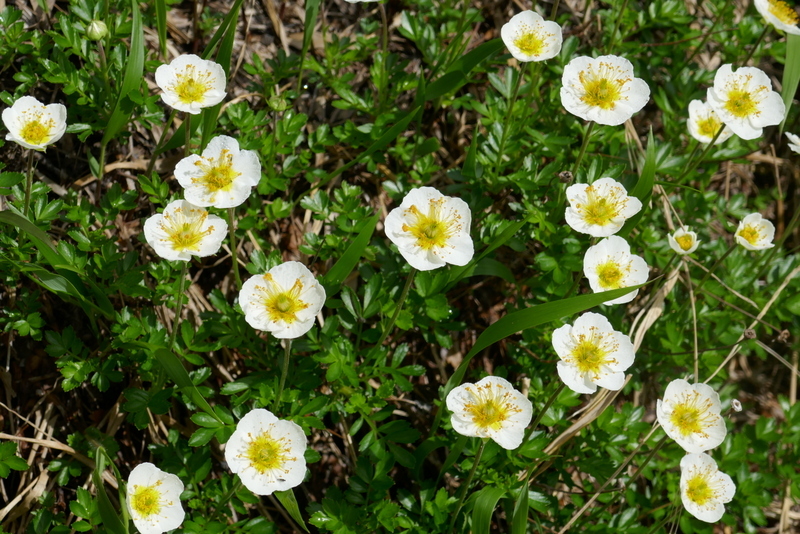 a0091843_14434808.jpg