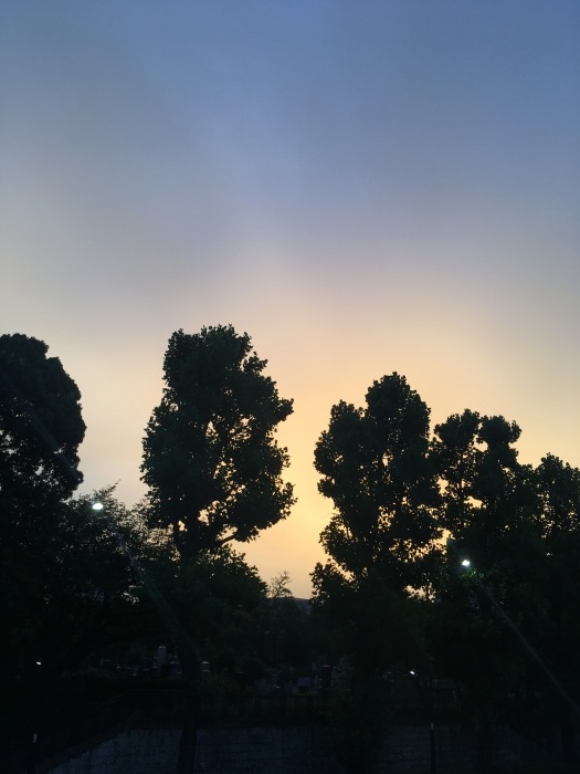 c0182843_00035864.jpg