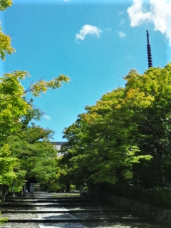 e0080346_1558666.png