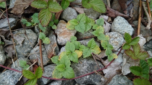 f0326946_20474340.jpg