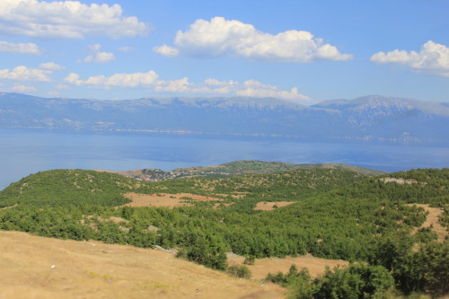 c0011649_23194619.jpg