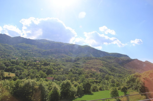 c0011649_23233650.jpg