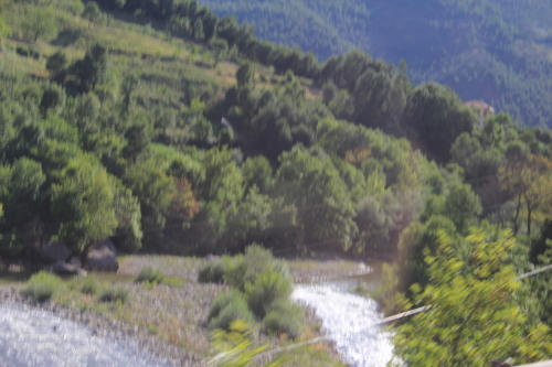 c0011649_23261747.jpg