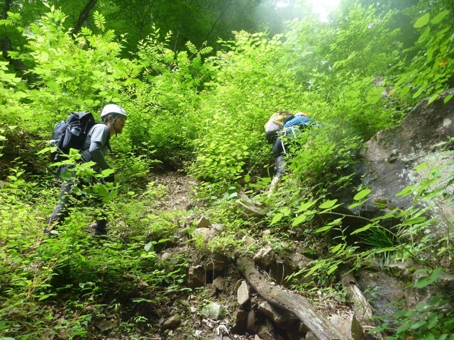 e0329049_14045378.jpg