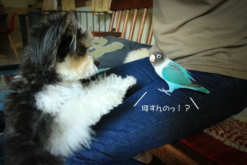 c0145250_09503357.jpg