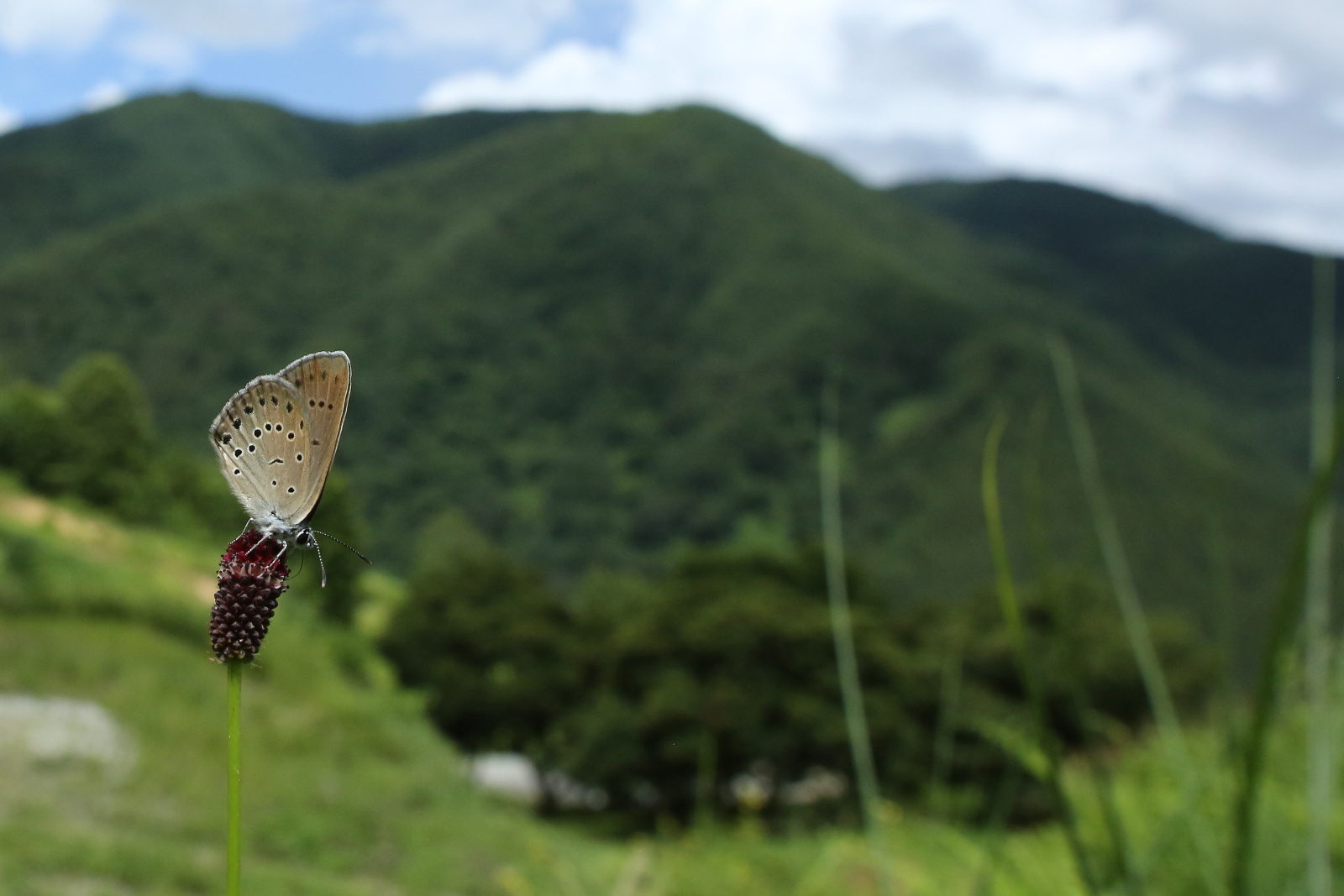 f0345350_06201427.jpg