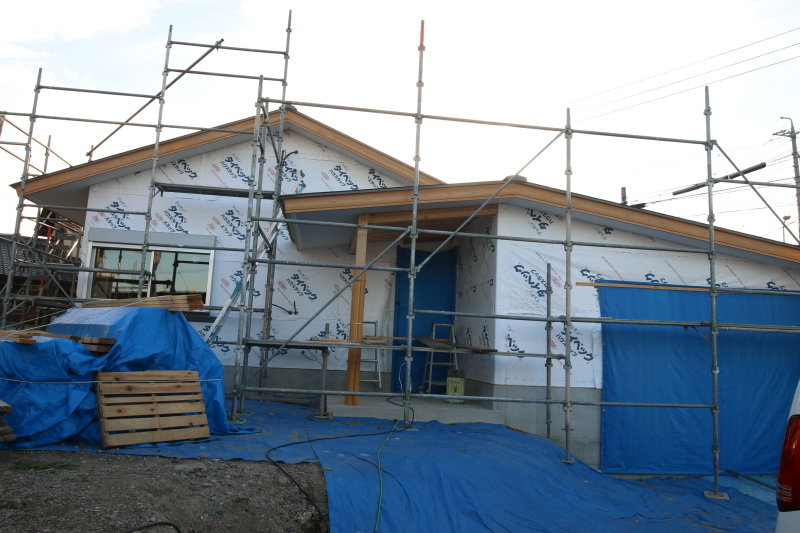 c0074553_22433471.jpg