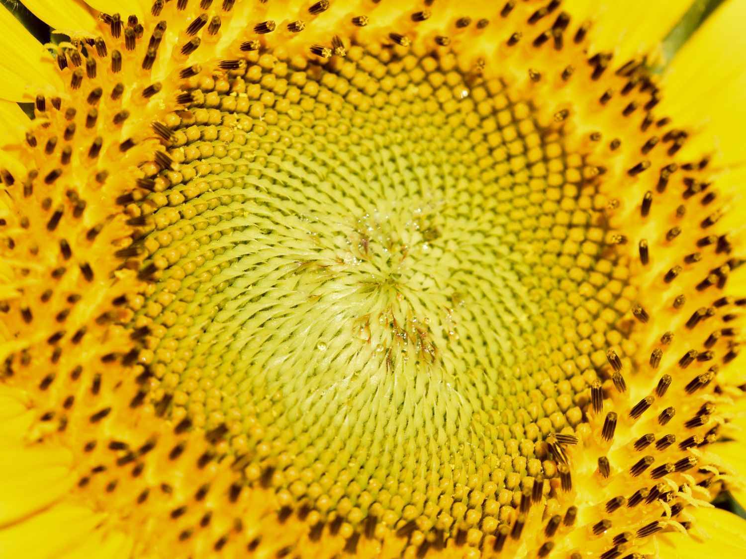 d0286954_05461271.jpg