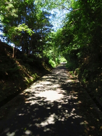 a0018655_14044215.jpg