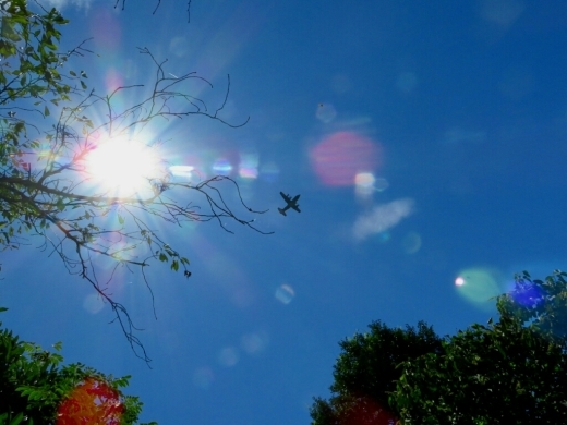 a0018655_14045644.jpg