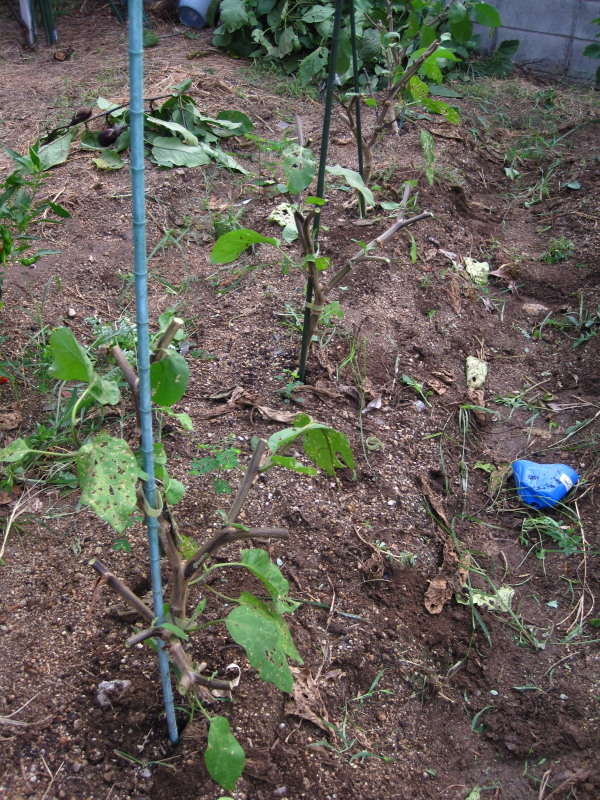 f0317955_09282150.jpg