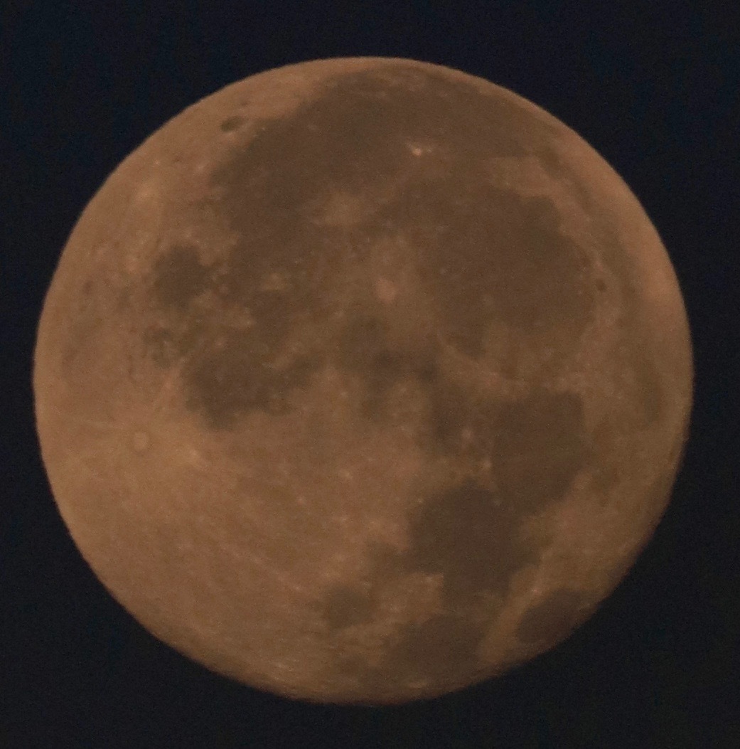 a0248459_12505231.jpg