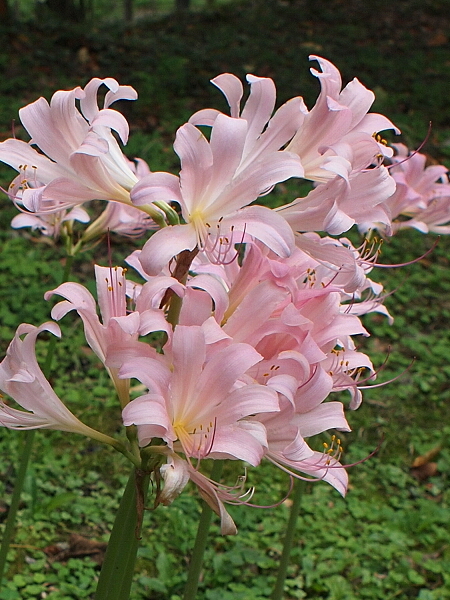 a0248459_13085917.jpg