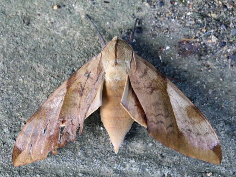 b0369164_15013710.jpg