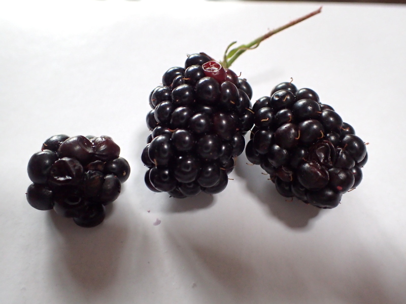 b0369164_15100614.jpg