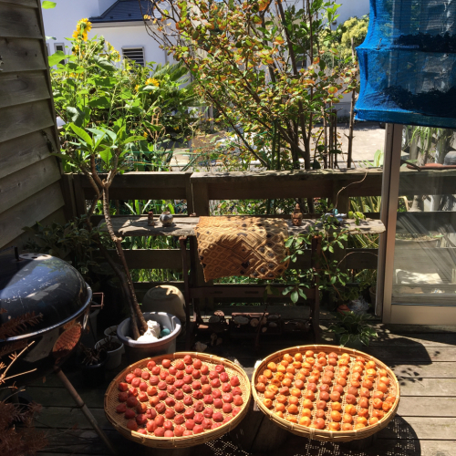 c0248467_22583668.jpg