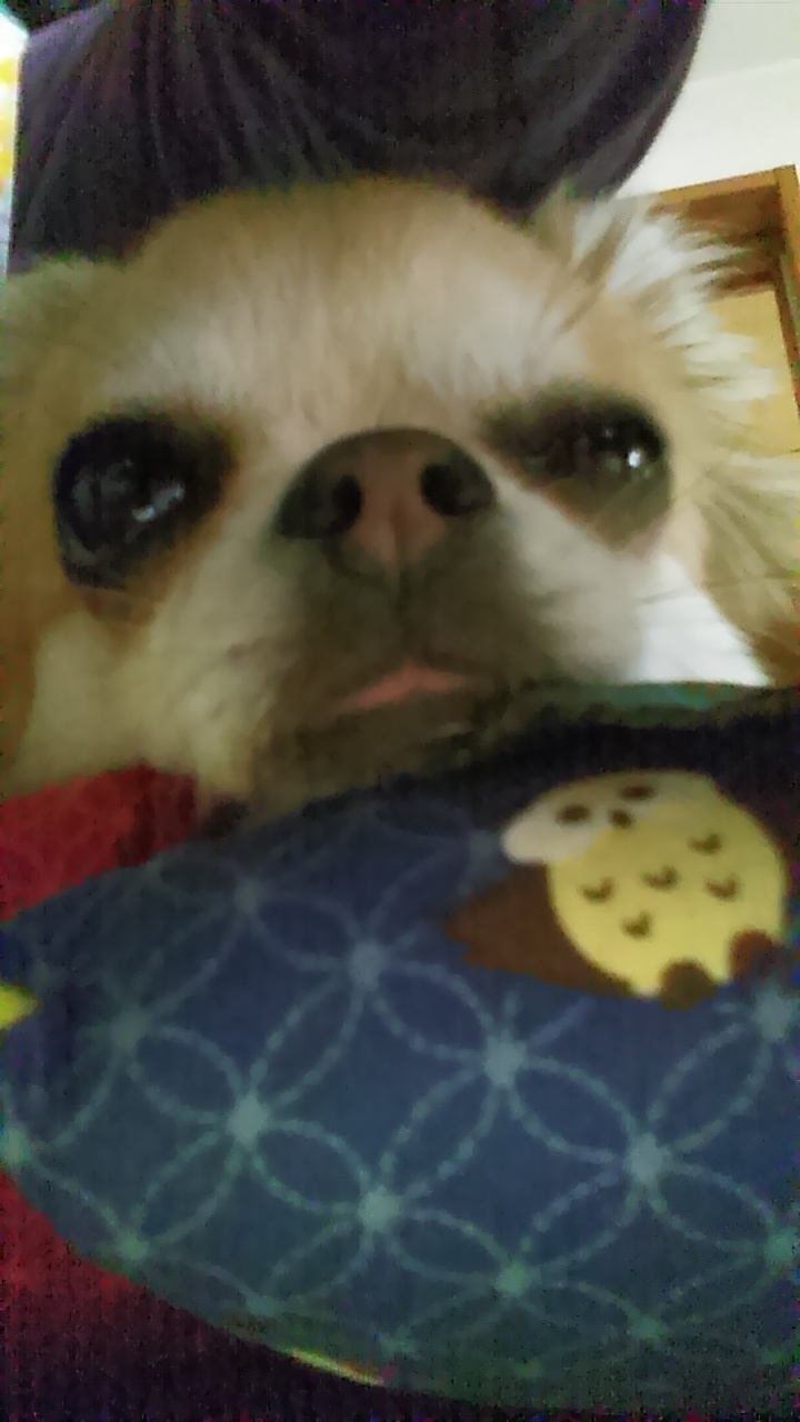 c0333067_09363689.jpg